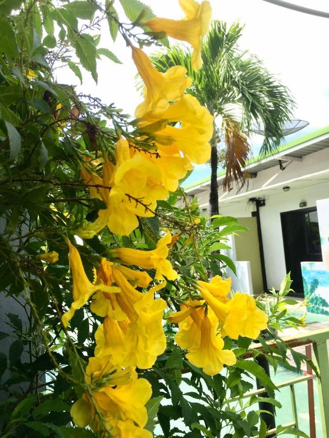 Rawai Whale Resort 외부 사진